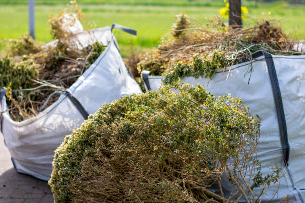 Best Professional Junk Removal  in Budd Lake, NJ